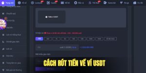 Cách rút nhanh về ví USDT