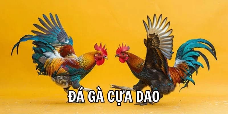 Một số điểm cộng nổi bật