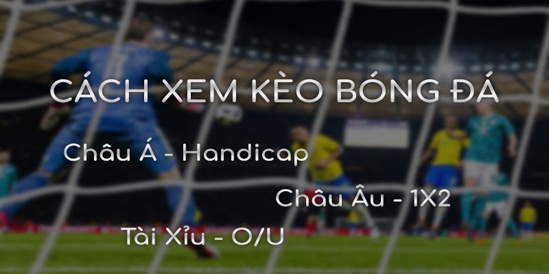 Các loại tỷ lệ kèo cược quan trọng trong cá cược bóng đá