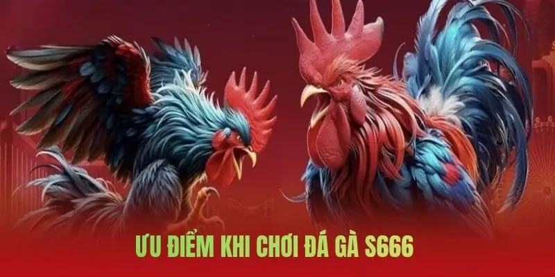 Một số điểm mạnh có tại sảnh chơi đá gà S666