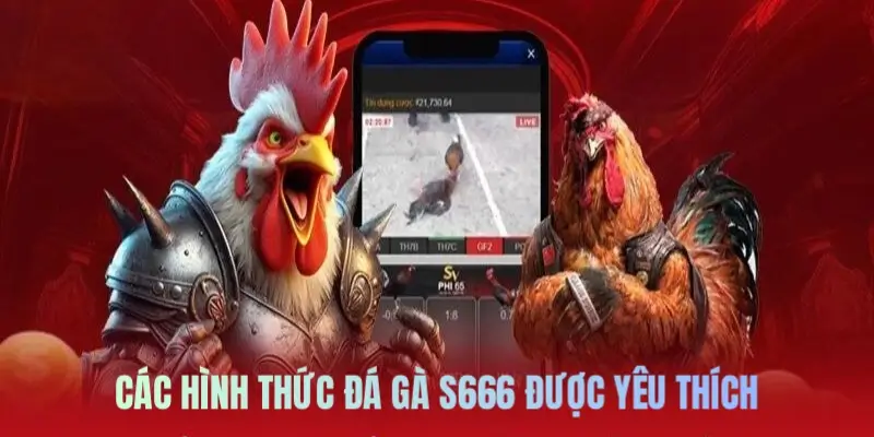 Các hình thức chơi được lựa chọn nhiều nhất tại đá gà S666
