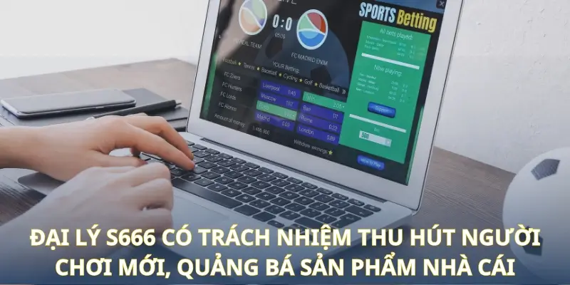 Đại lý S666 có trách nhiệm thu hút người chơi mới, quảng bá sản phẩm nhà cái