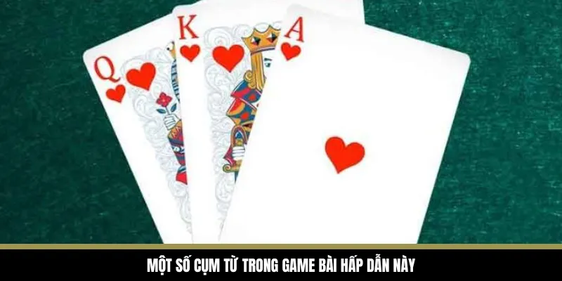 Một số cụm từ trong game bài hấp dẫn này