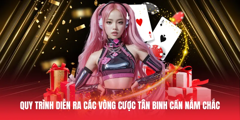 Quy trình diễn ra các vòng cược tân binh cần nắm chắc